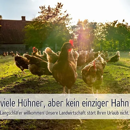 Wisch-hof - Ideal Fuer Radfahrer - Viel Platz Drinnen & Draussen, Kleinkindausstattung, Radwege Ab Hof - 3,5 Km & Viele Ausflugsziele Fuer Jedes Wetter *