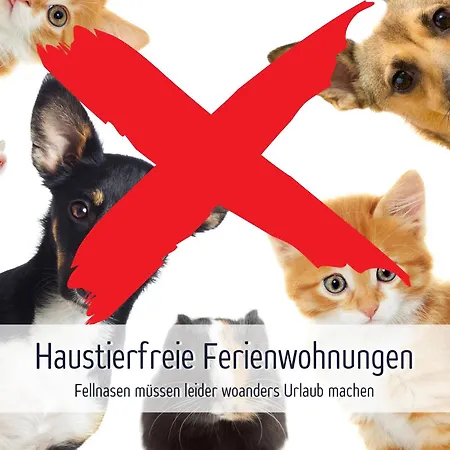 Wisch-hof - Ideal Fuer Radfahrer - Viel Platz Drinnen & Draussen, Kleinkindausstattung, Radwege Ab Hof - 3,5 Km & Viele Ausflugsziele Fuer Jedes Wetter Appartement *