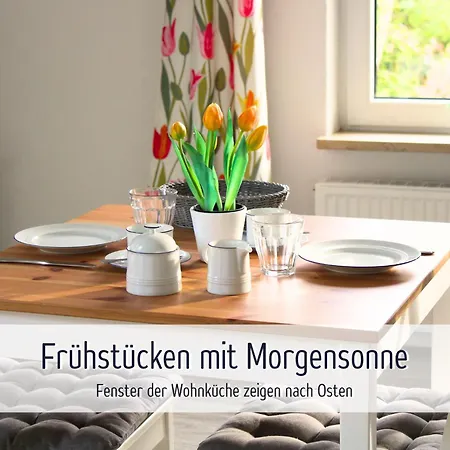 Appartement Wisch-hof - Ideal Fuer Radfahrer - Viel Platz Drinnen & Draussen, Kleinkindausstattung, Radwege Ab Hof - 3,5 Km & Viele Ausflugsziele Fuer Jedes Wetter *