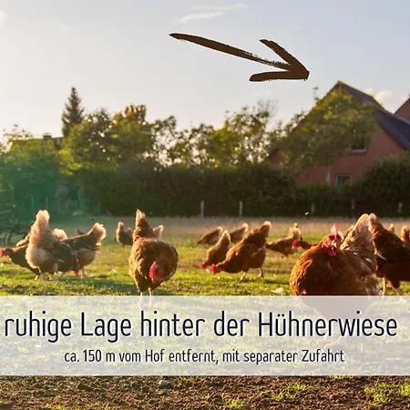 Wisch-hof - Ideal Fuer Radfahrer - Viel Platz Drinnen & Draussen, Kleinkindausstattung, Radwege Ab Hof - 3,5 Km & Viele Ausflugsziele Fuer Jedes Wetter * Krokau