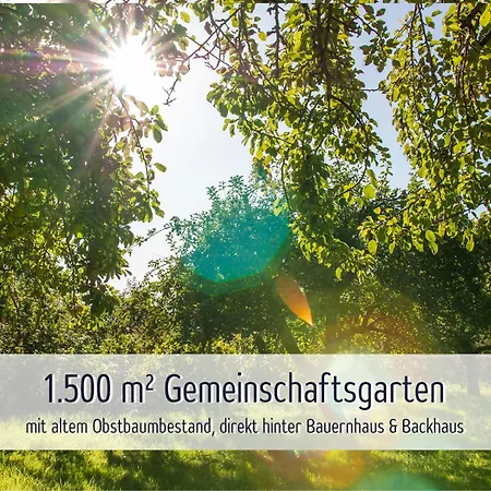 Wisch-hof - Ideal Fuer Radfahrer - Viel Platz Drinnen & Draussen, Kleinkindausstattung, Radwege Ab Hof - 3,5 Km & Viele Ausflugsziele Fuer Jedes Wetter Krokau