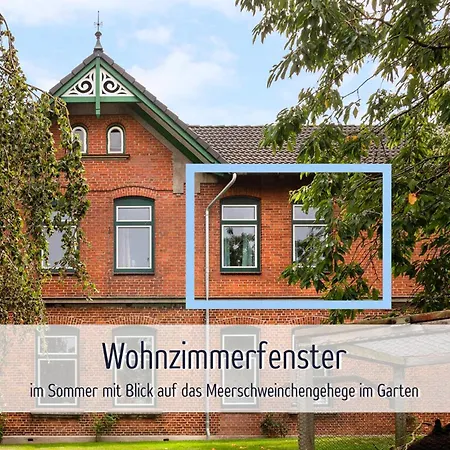 Wisch-hof - Ideal Fuer Radfahrer - Viel Platz Drinnen & Draussen, Kleinkindausstattung, Radwege Ab Hof - 3,5 Km & Viele Ausflugsziele Fuer Jedes Wetter Appartement