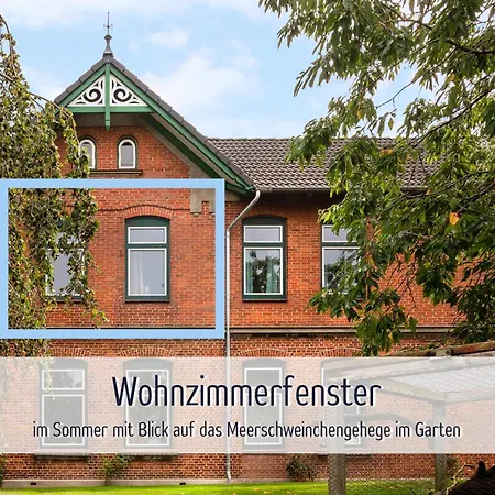 Wisch-hof - Ideal Fuer Radfahrer - Viel Platz Drinnen & Draussen, Kleinkindausstattung, Radwege Ab Hof - 3,5 Km & Viele Ausflugsziele Fuer Jedes Wetter Appartement *